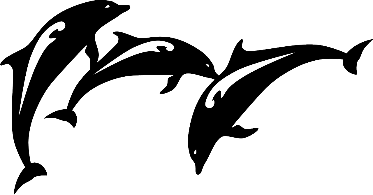 Dolphin fish jumping vector graphic clipart