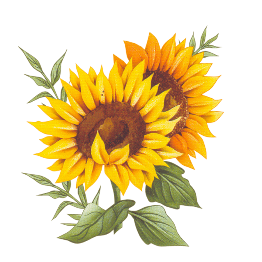 Cuisine montxe sunflower recipe two france vector clipart fre art painting