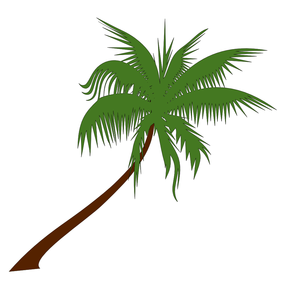 Palm tree photo images cliparts clipart library