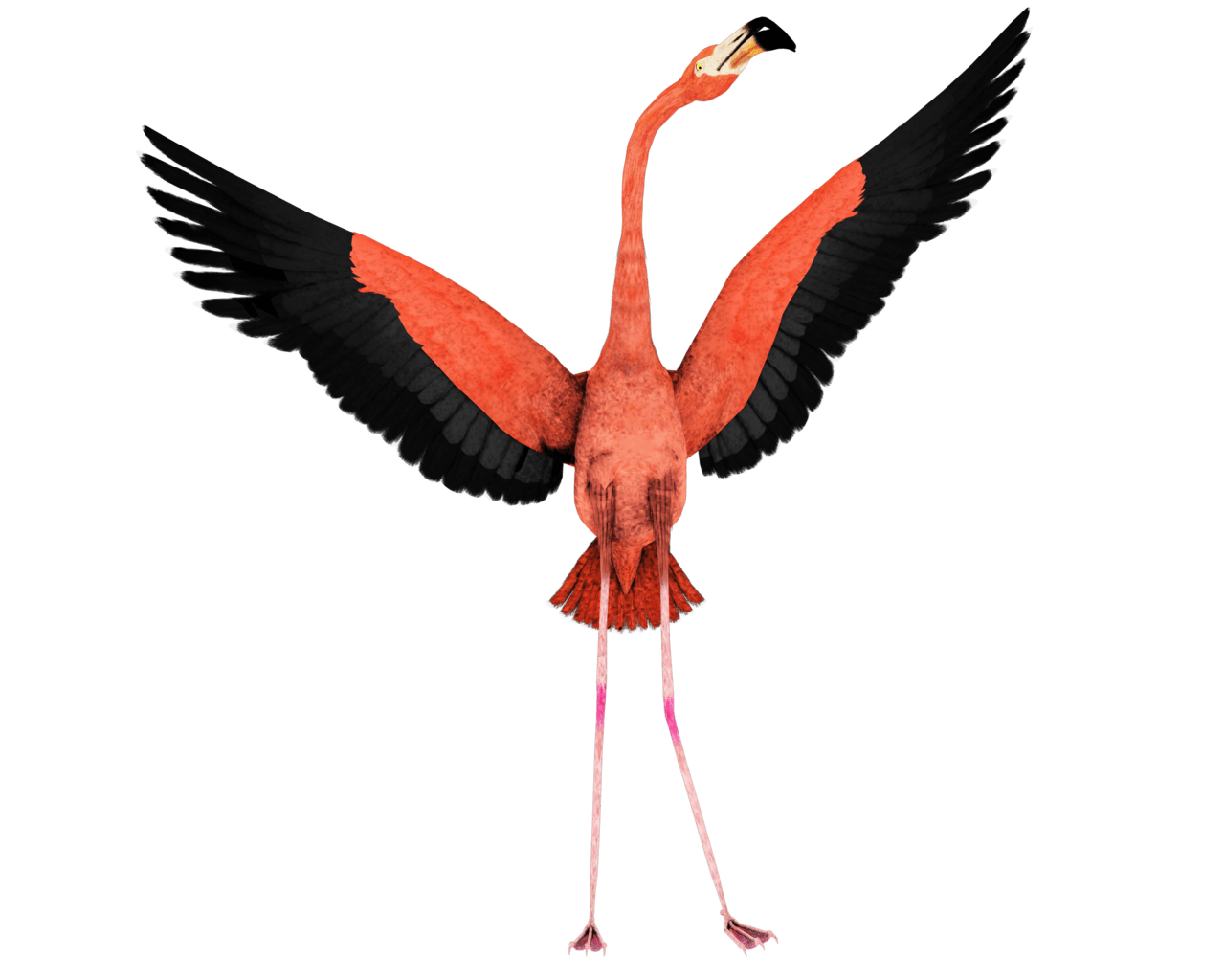 Flamingo pin page clipart picture 3