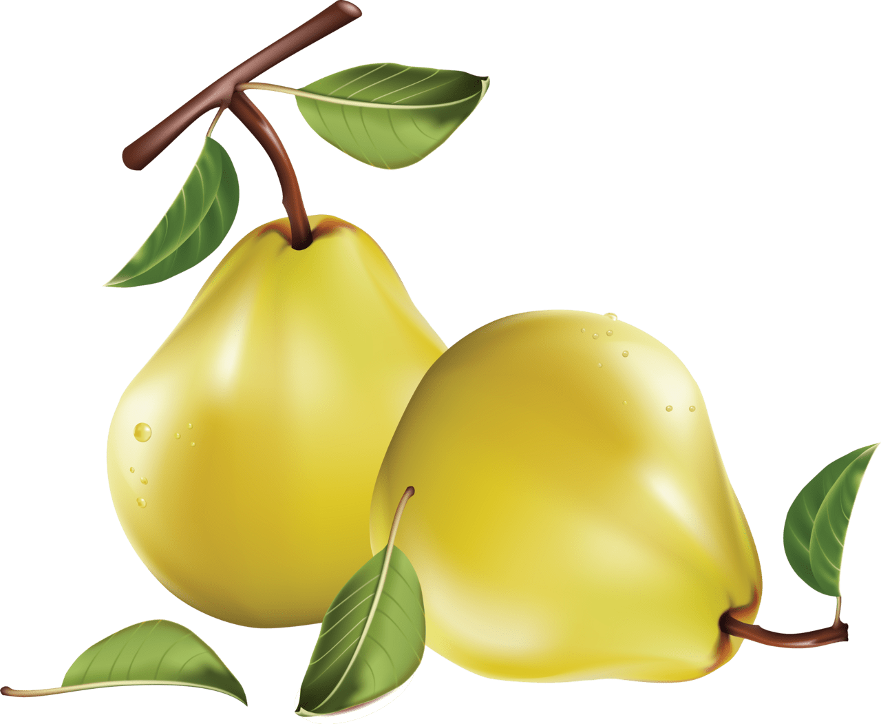 Fruit pear clipart logo