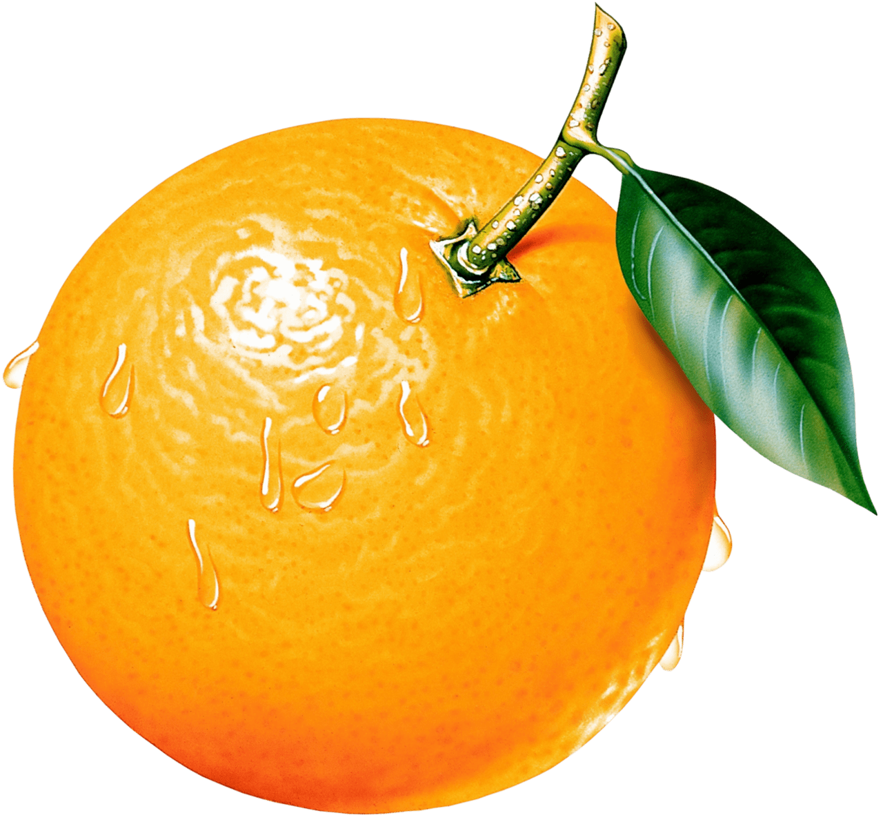 Breakfast orange clipart images image