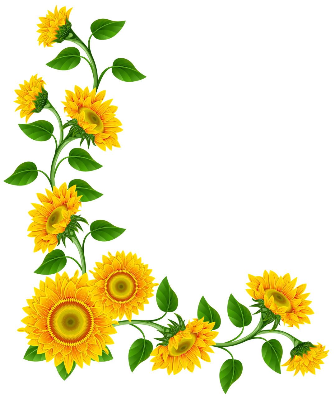 Sunflower border decoration clip image images digital flowers clipart