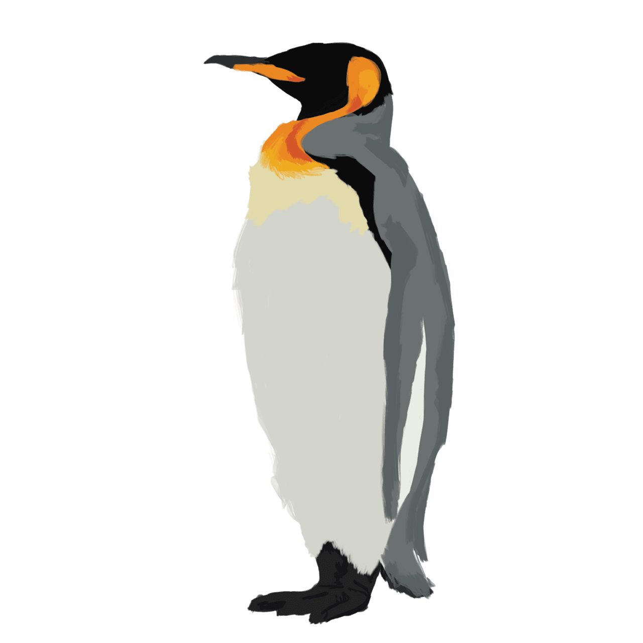 Painted king penguin sticker for sale by dansam clipart image