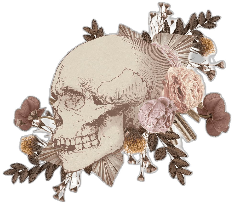 Skull pin auf mis recortes clipart photo