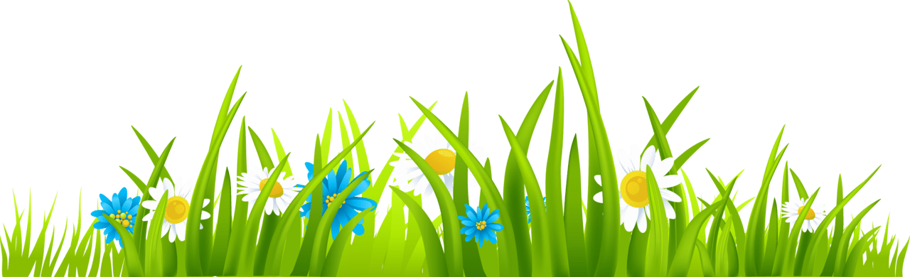 Grass clipart images cliparting