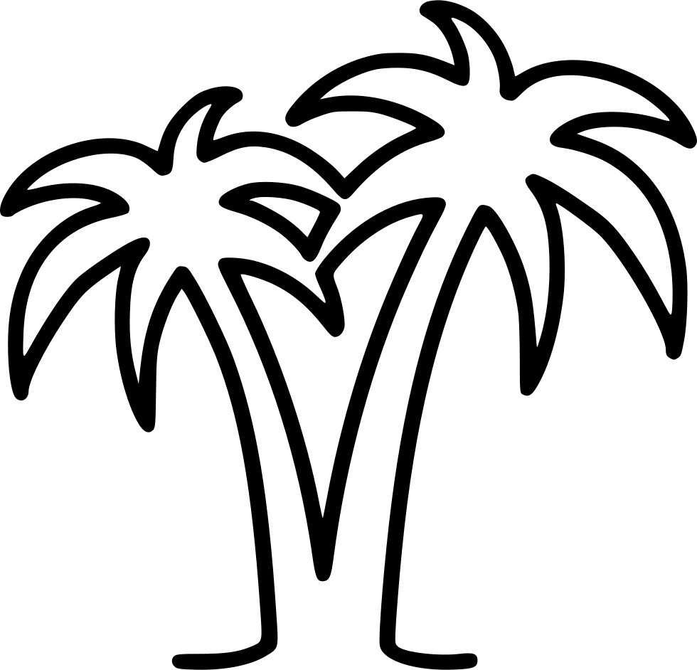 Palm tree images pictures img clipart 2