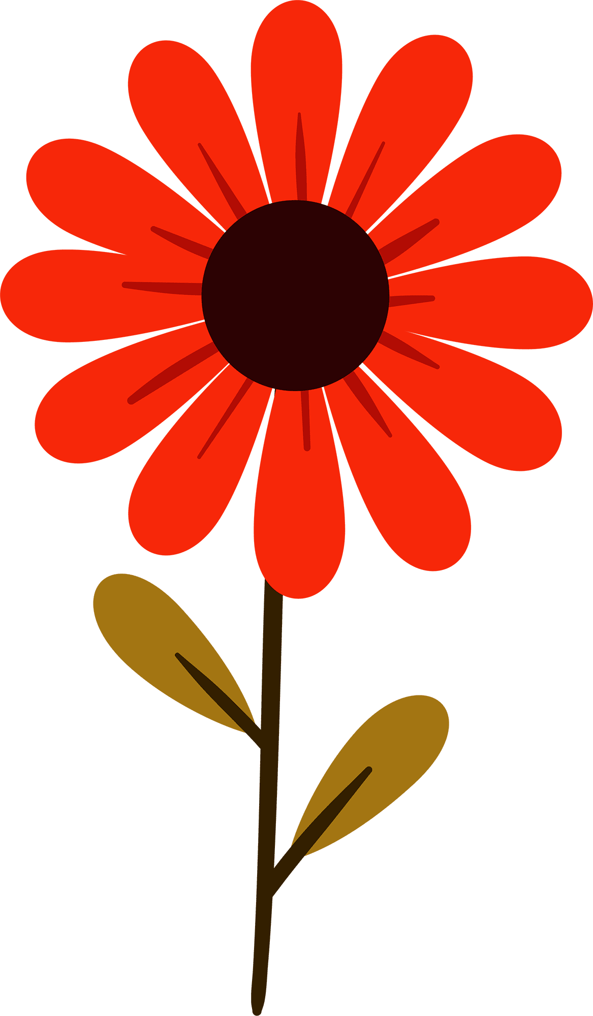 Daisy spr flower clipart logo