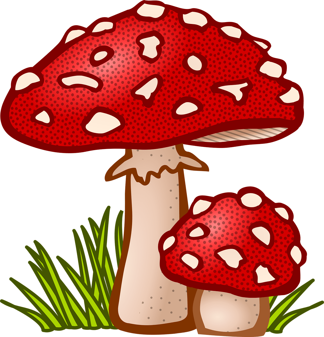 Mushroom grzybicze grzyb ro darmowa grafika wektorowa na pixabay clipart transparent