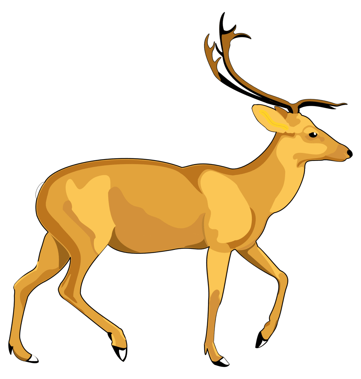 Deer vector clipart