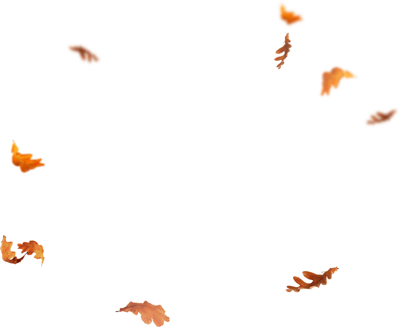 Fall leaf falling leaves images flying autumn clipart