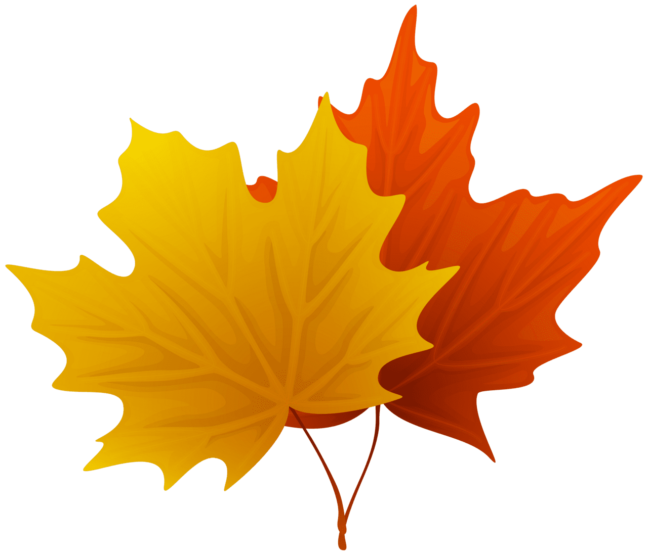 Autumn leaves fall maple decorative clip image clipart