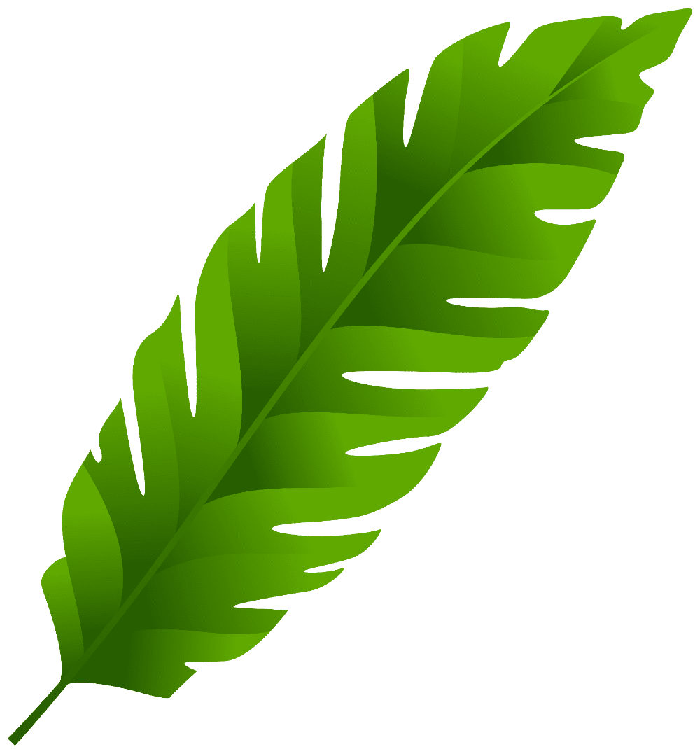 Leaves leaf clipart image