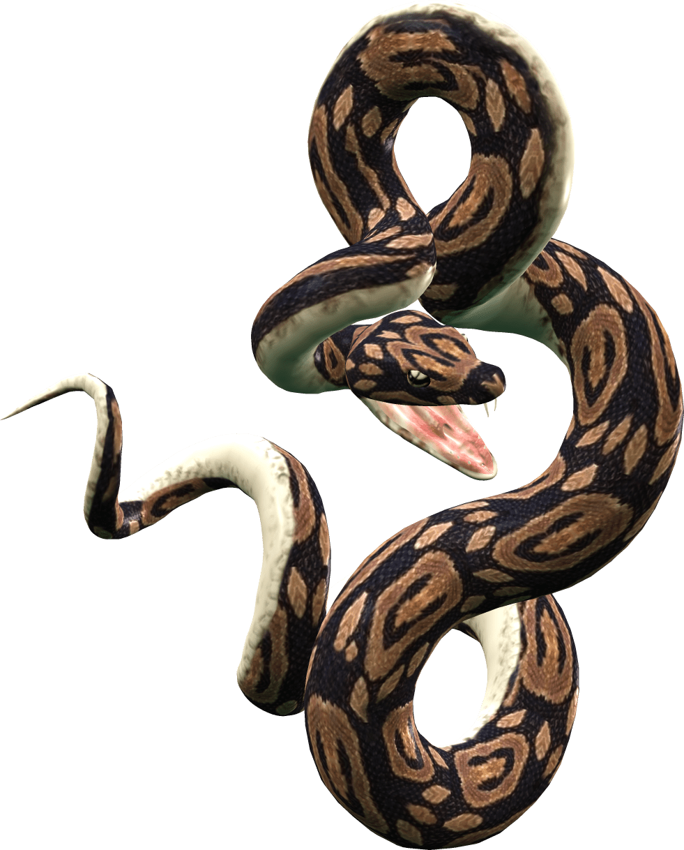 Snake anaconda lithe hissing sound scary large images transparen clipart