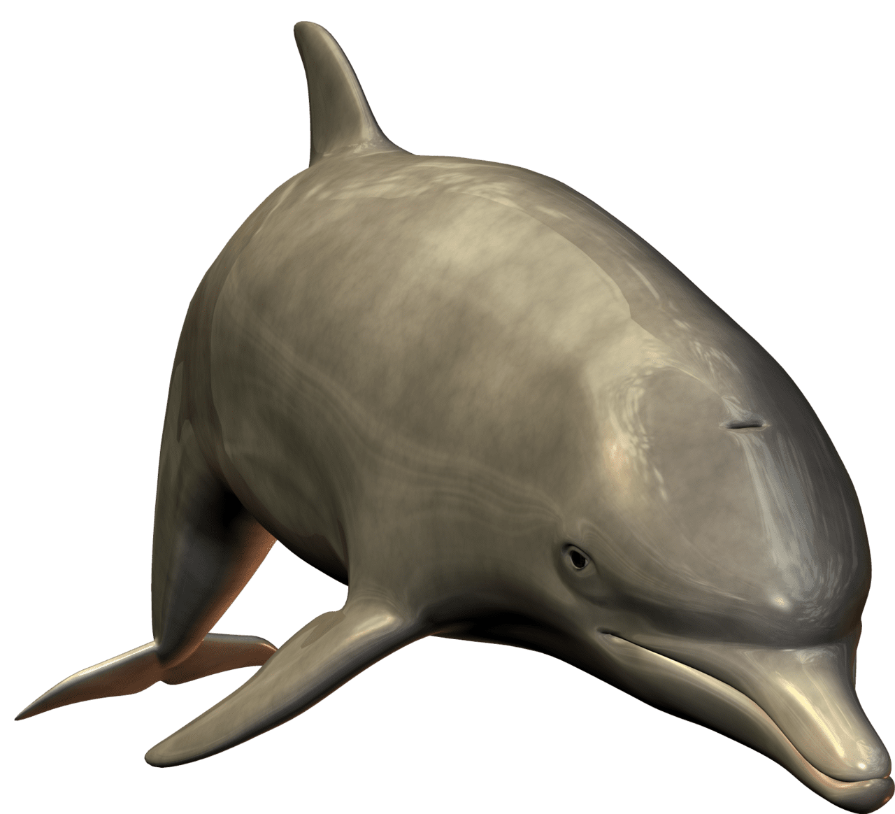 Dolphin cute swimm dolph clipart vector