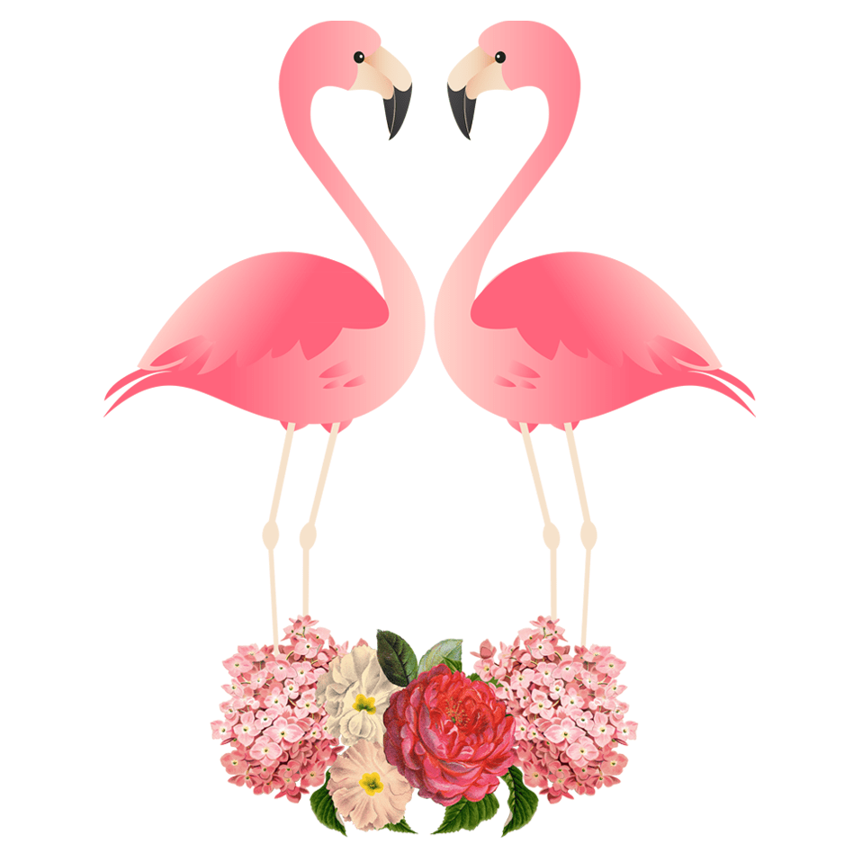 Adesivo flamingo amp black clipart picture