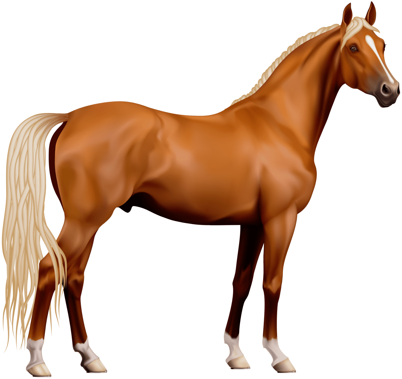 Horse clipart picture