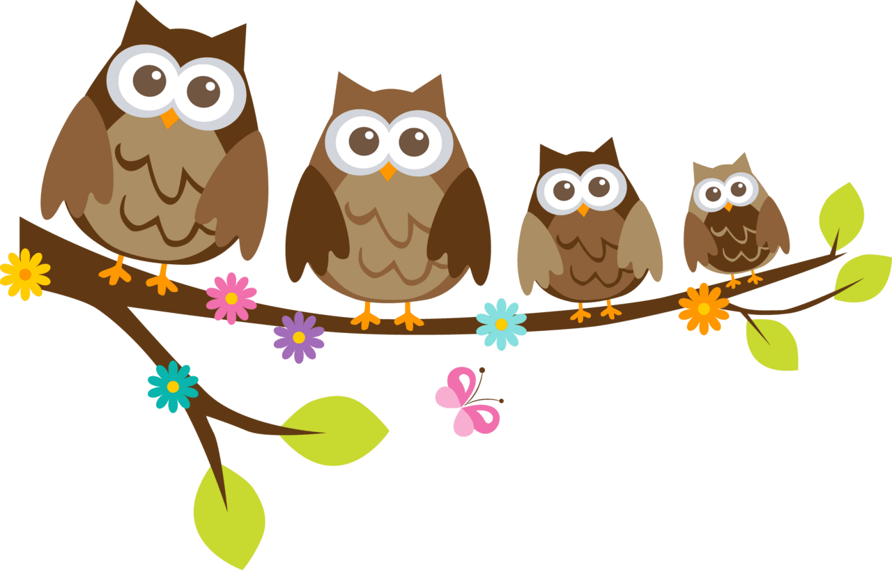 Owl et clipart woodland famille hiboux sur branche vector