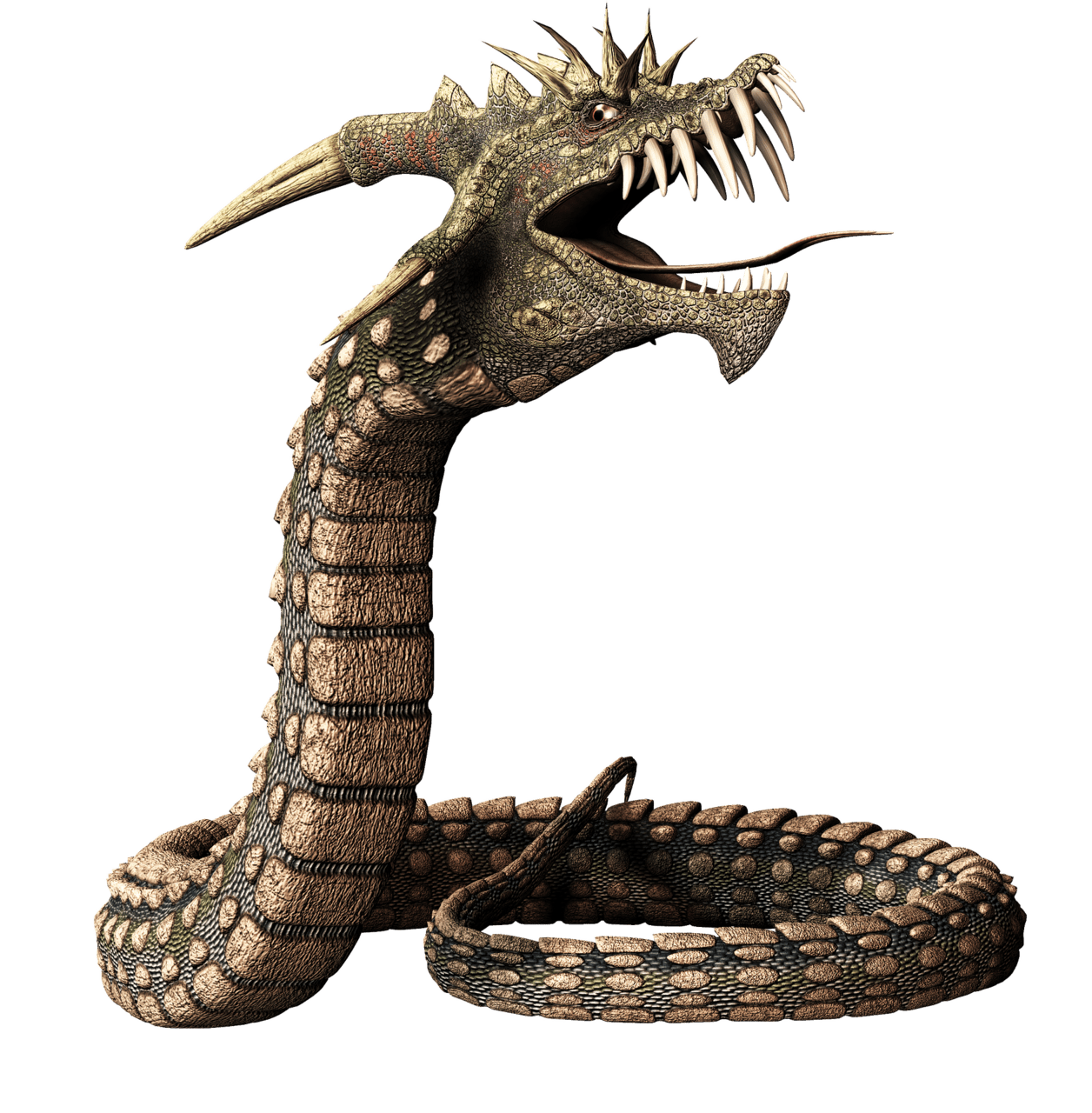 Snake animals reptiles dragon clipart vector
