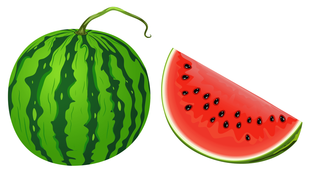 Watermelon vector clipart image