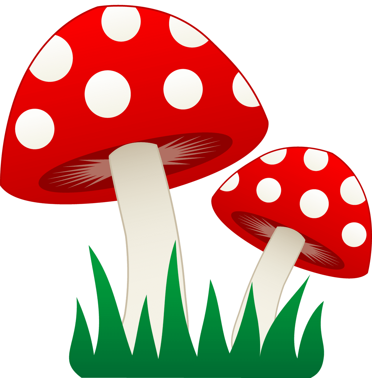 Clipart of mushroom best free