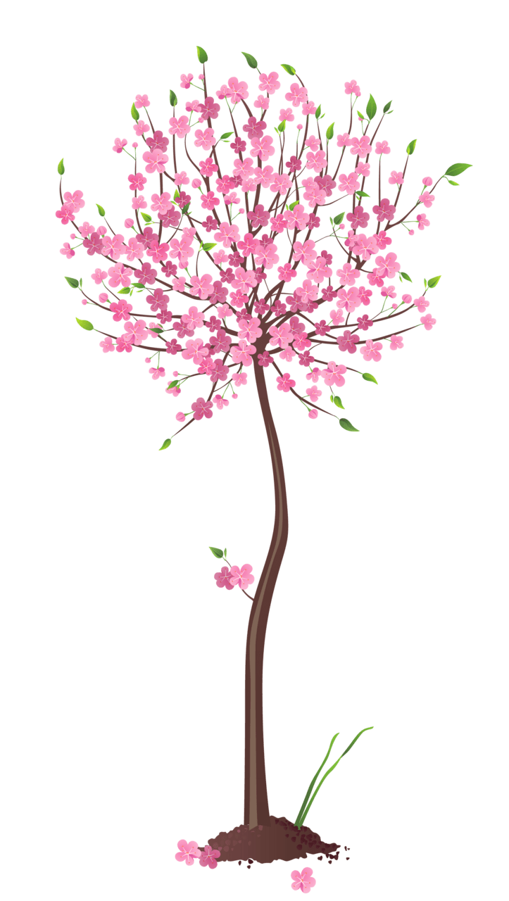 Spring pink tree clipart image