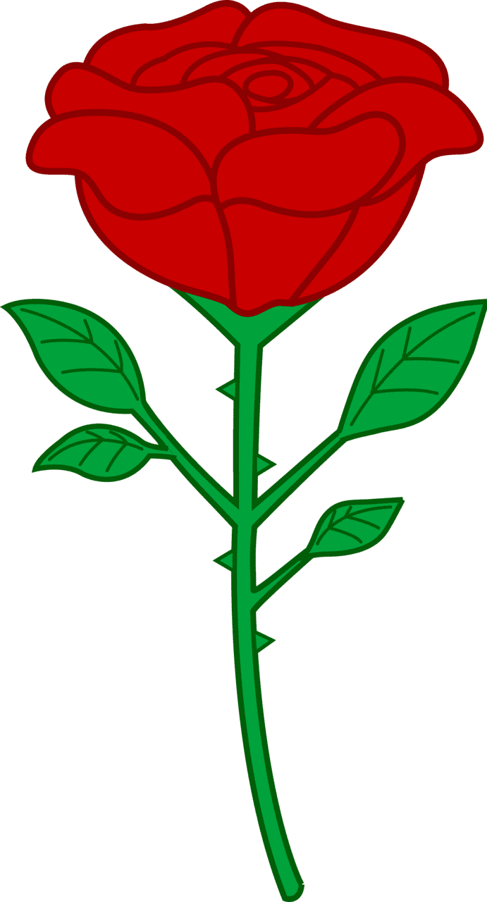 Plant single red rose clipart panda images