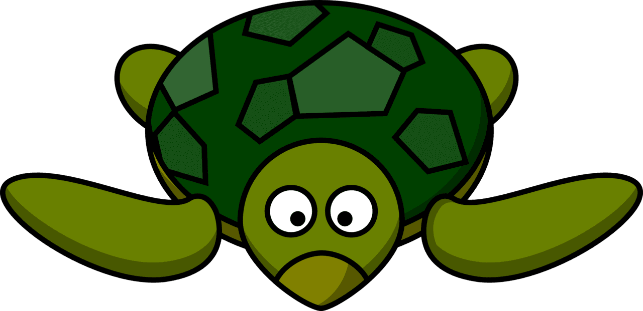 Turtle clipart images