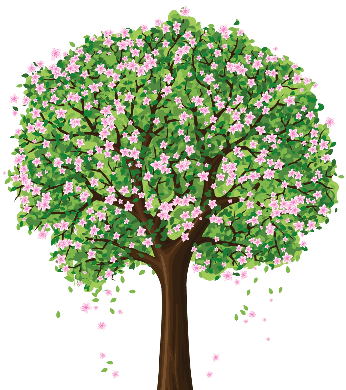 Spring tree clipart transparent