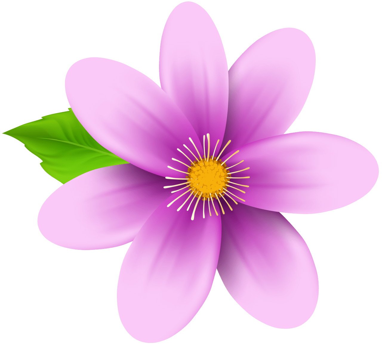 Floral pink flower clipart image