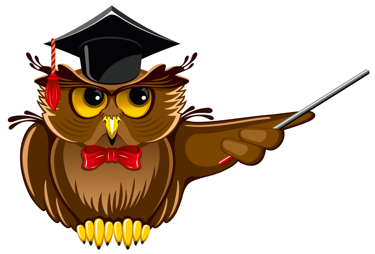 Animal owl teacher clipart picture