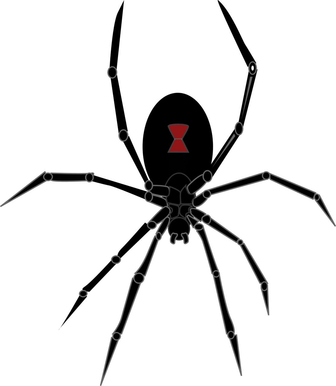 Black widow spider logos clipart