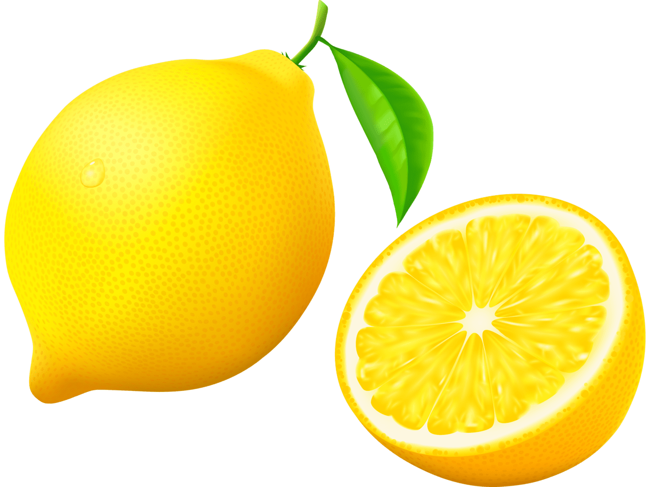 Lemon clipart vector 2