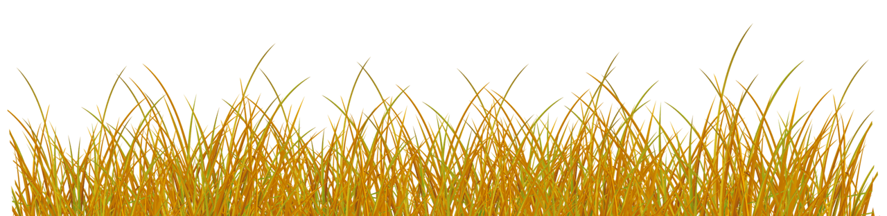 Autumn grass clipart image 2