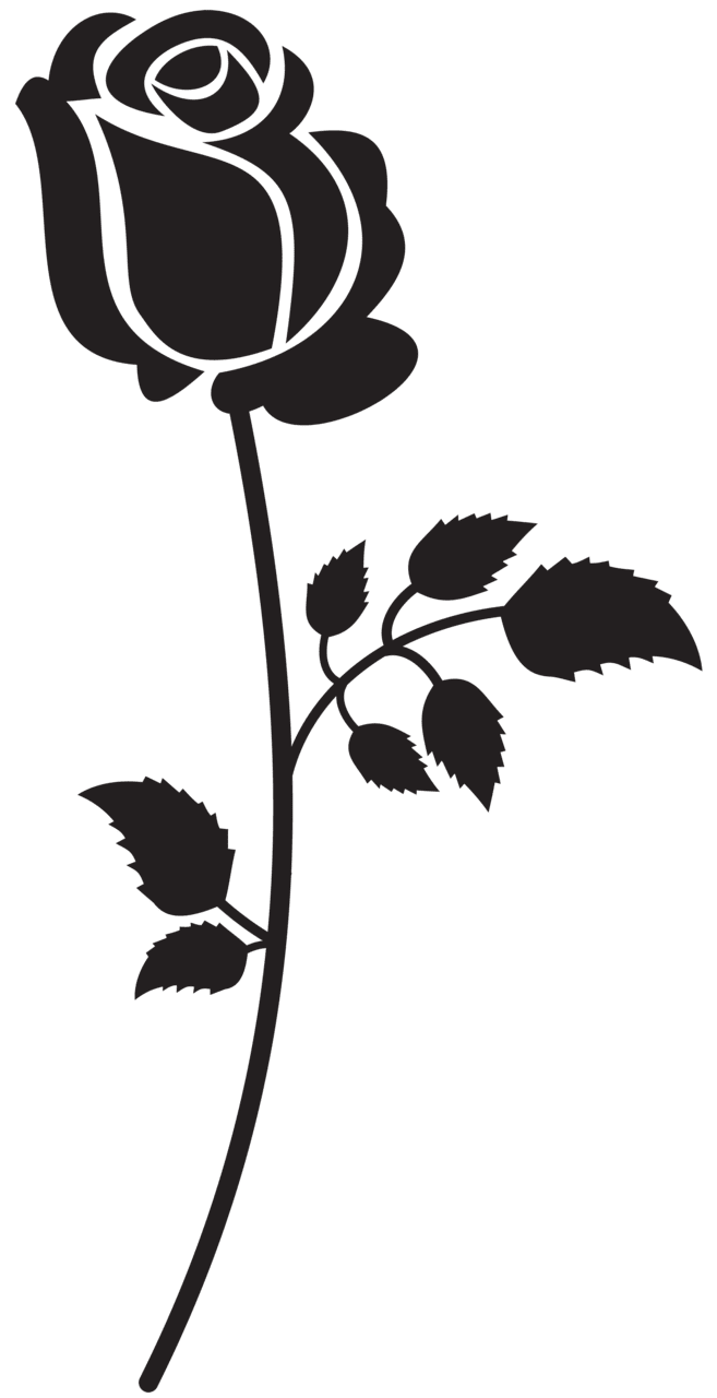 Flower black and white rose silhouette clipart image