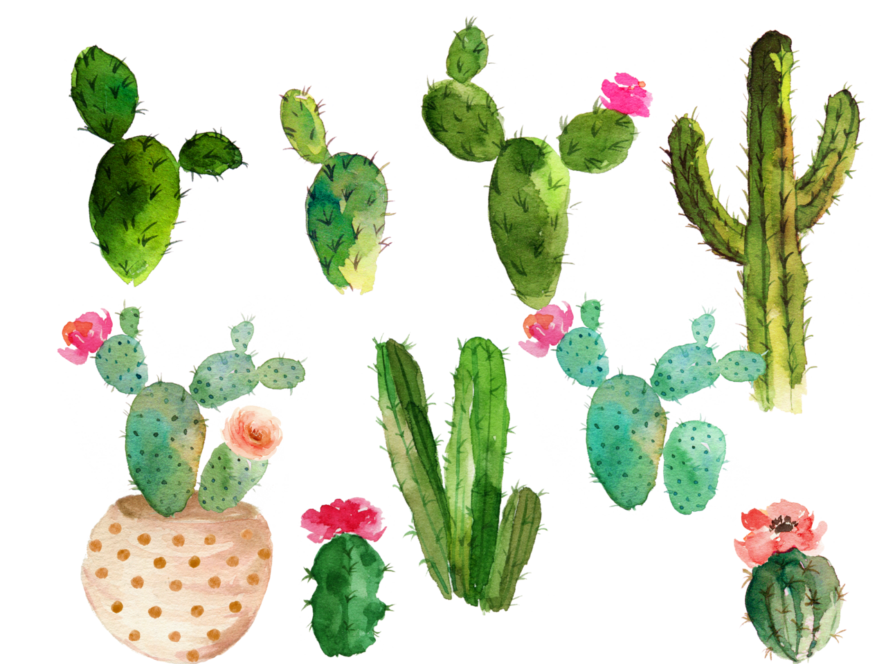 Cactus pin page clipart clip art