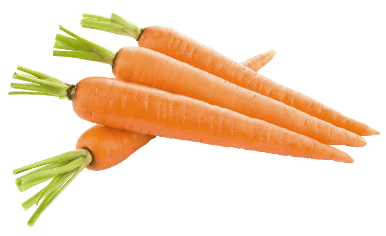 Carrot foods you should eat every day clipart logo