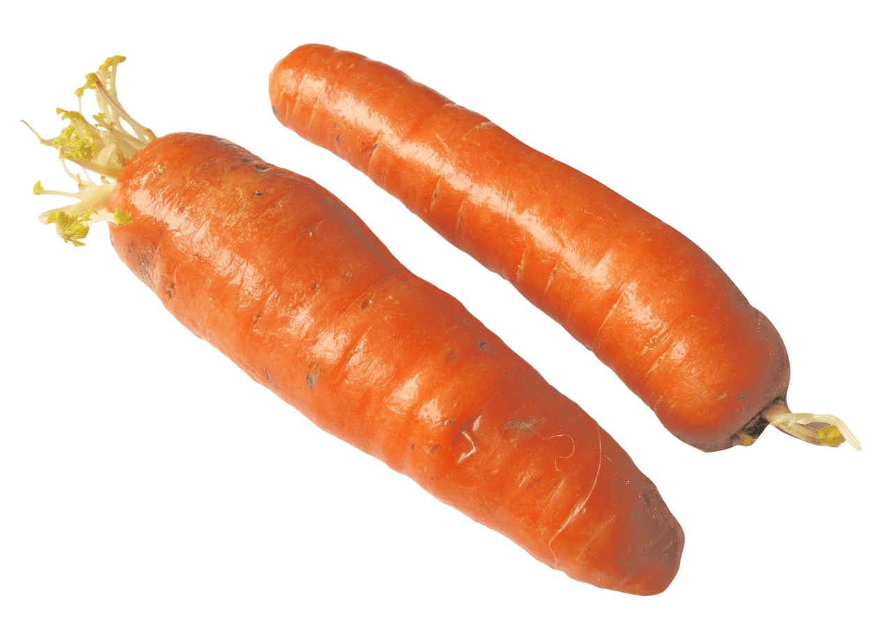 Carrot half image for clipart