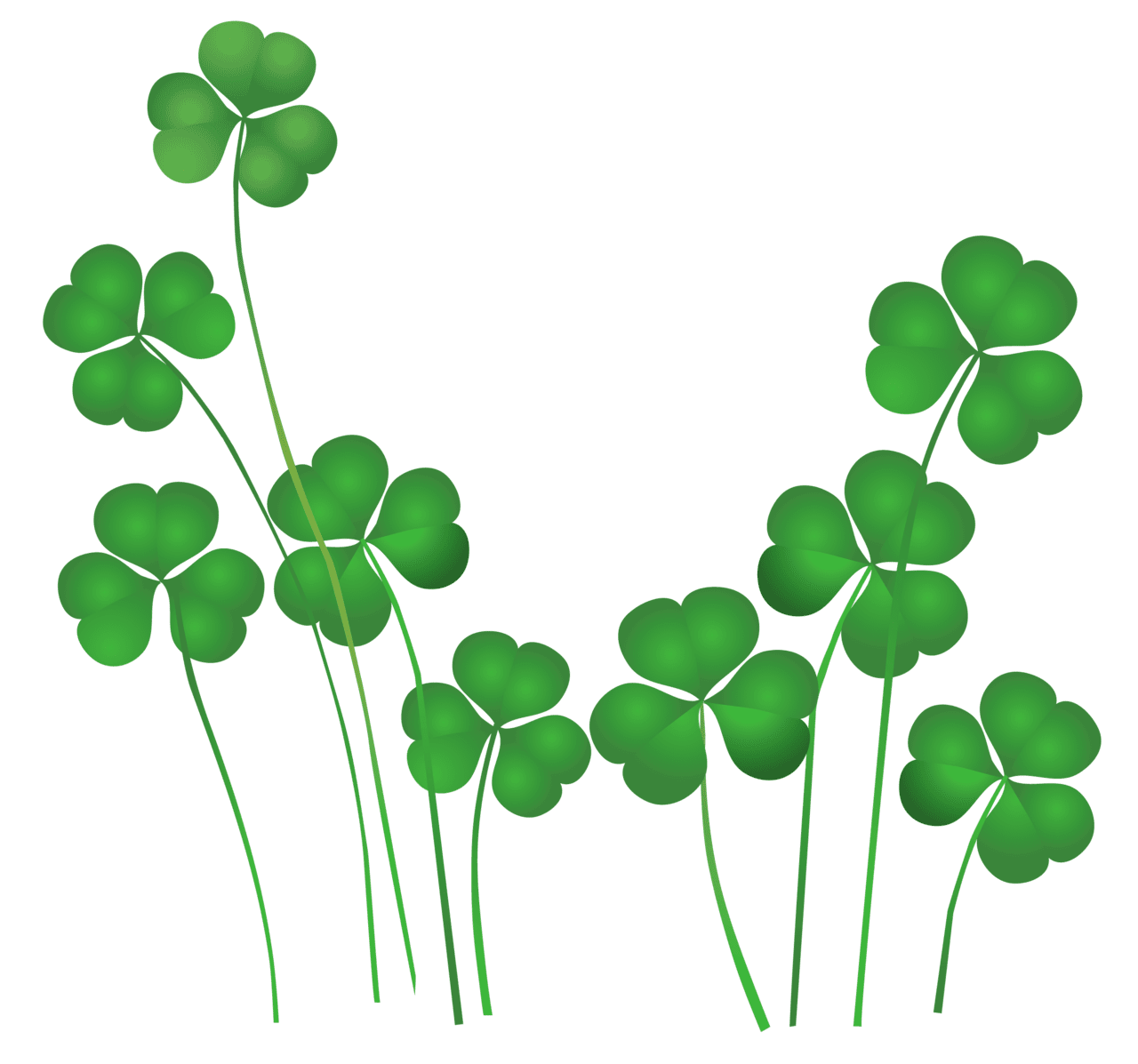 Leprechaun st patricks day shamrocks decor clipart picture