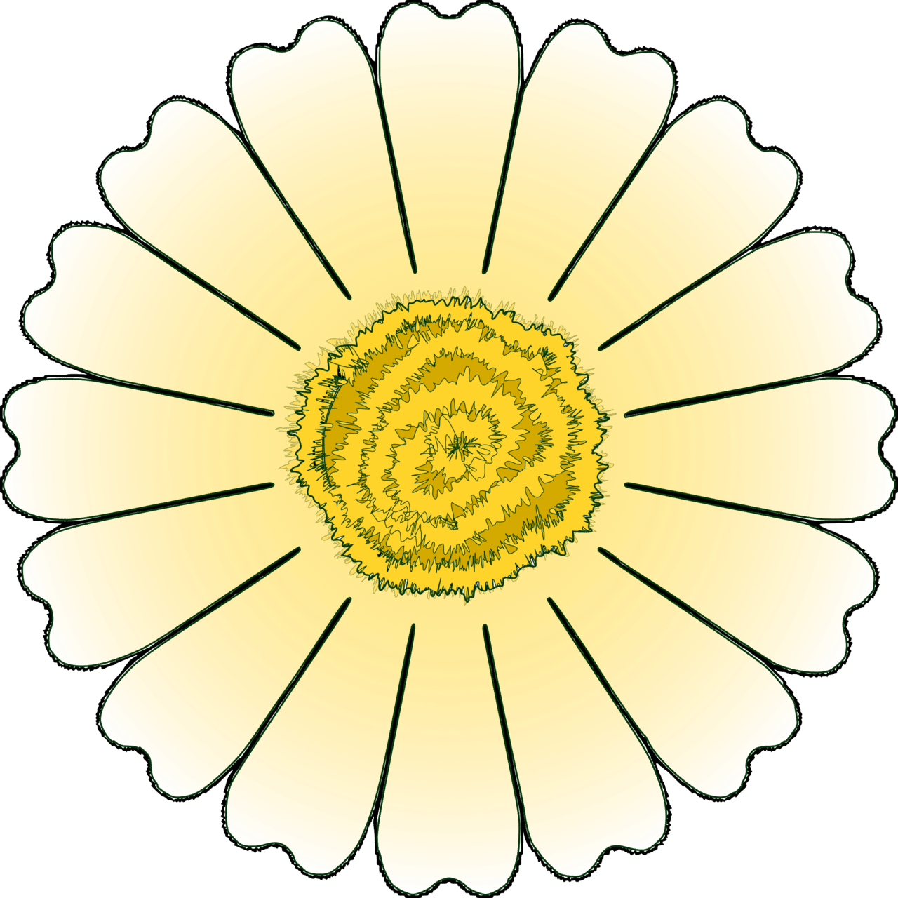 Flower daisy petal clipart free