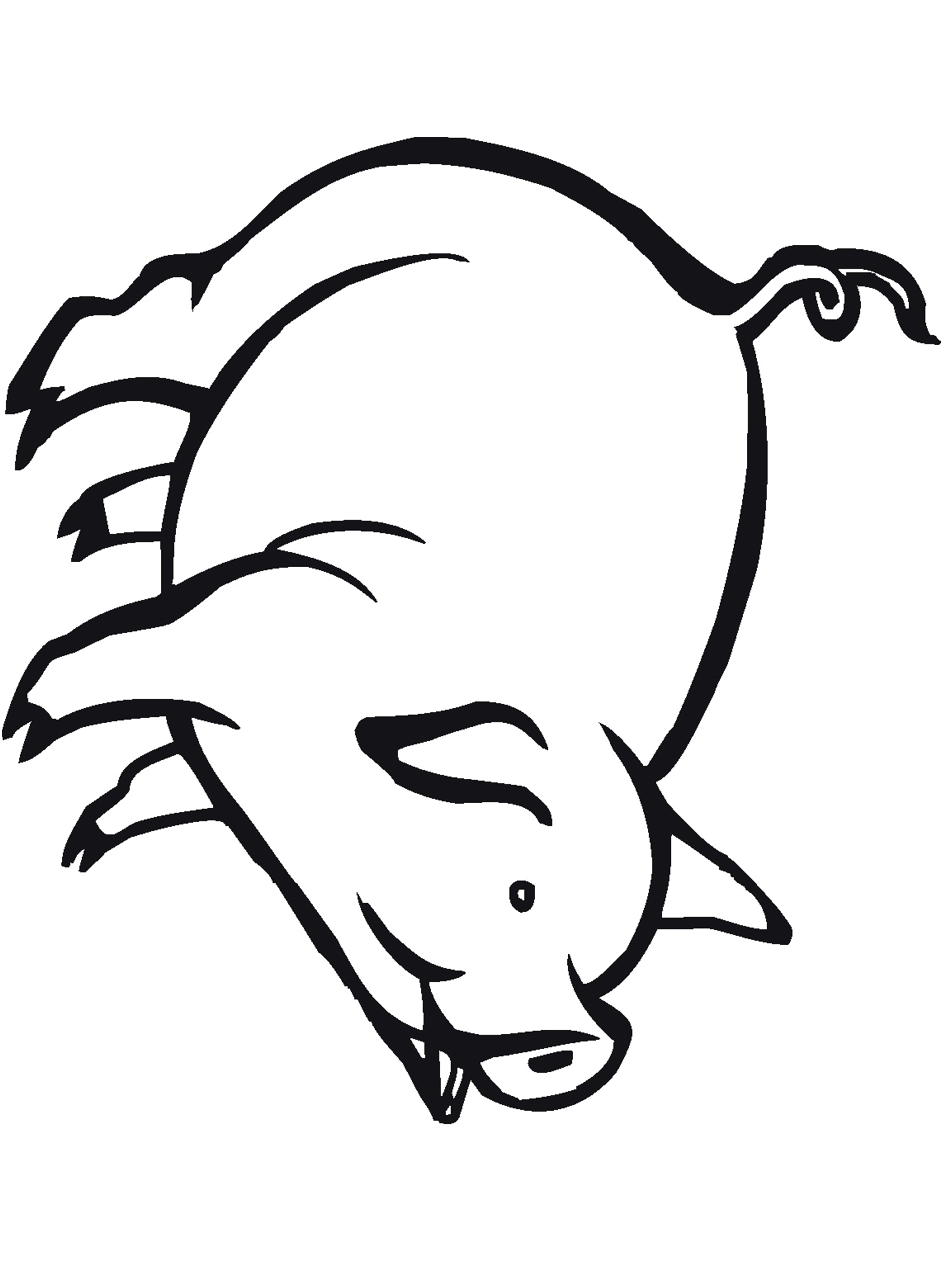 Pig primarygames clipart vector