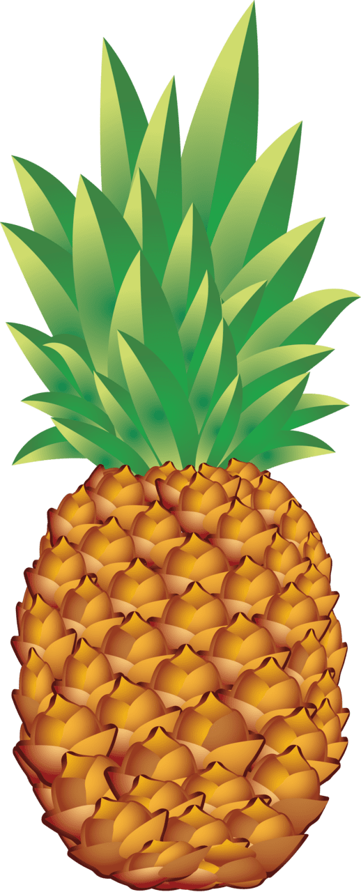 Pineapple pinapple clipart logo