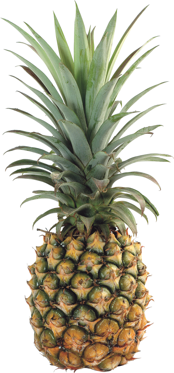Pineapple explore vast collection of images clipart