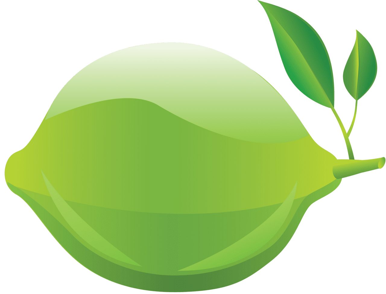 Lemon lime image images clipart