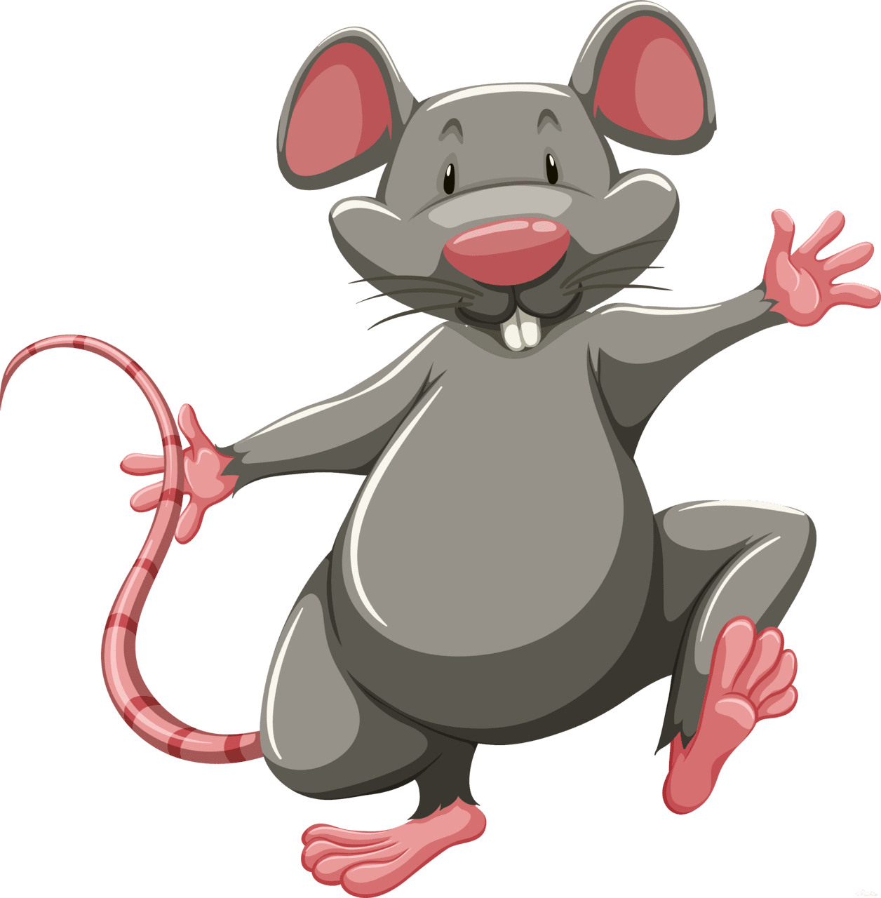 Laboratory rat mouse clipart image