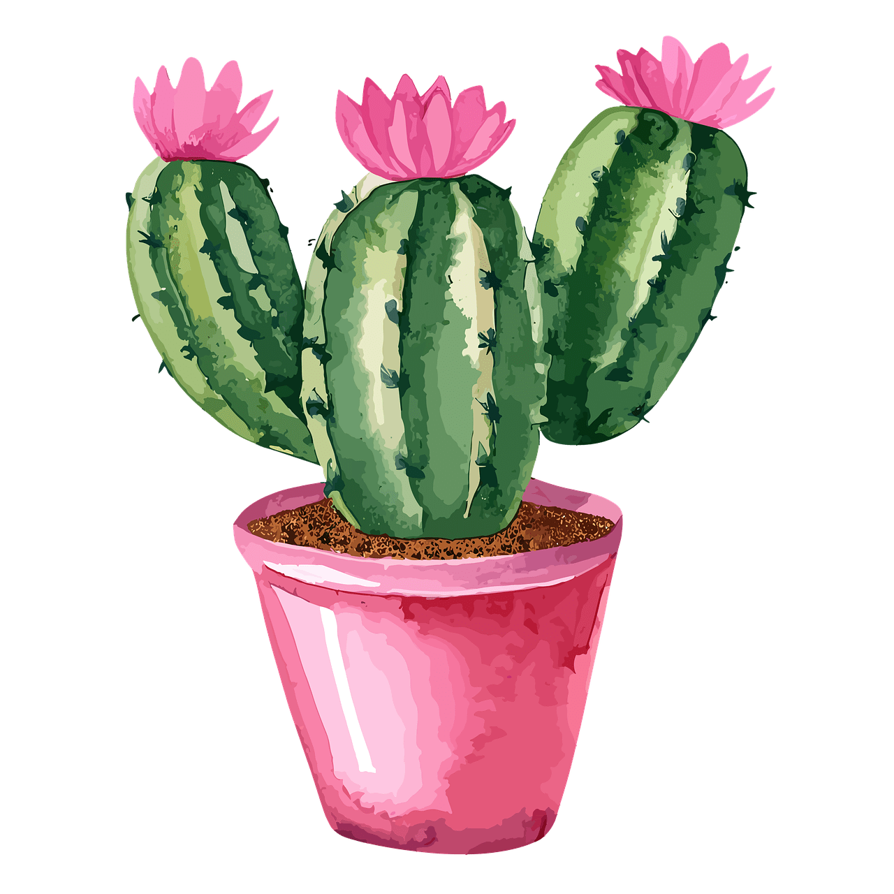 Cactus plant flower image clipart