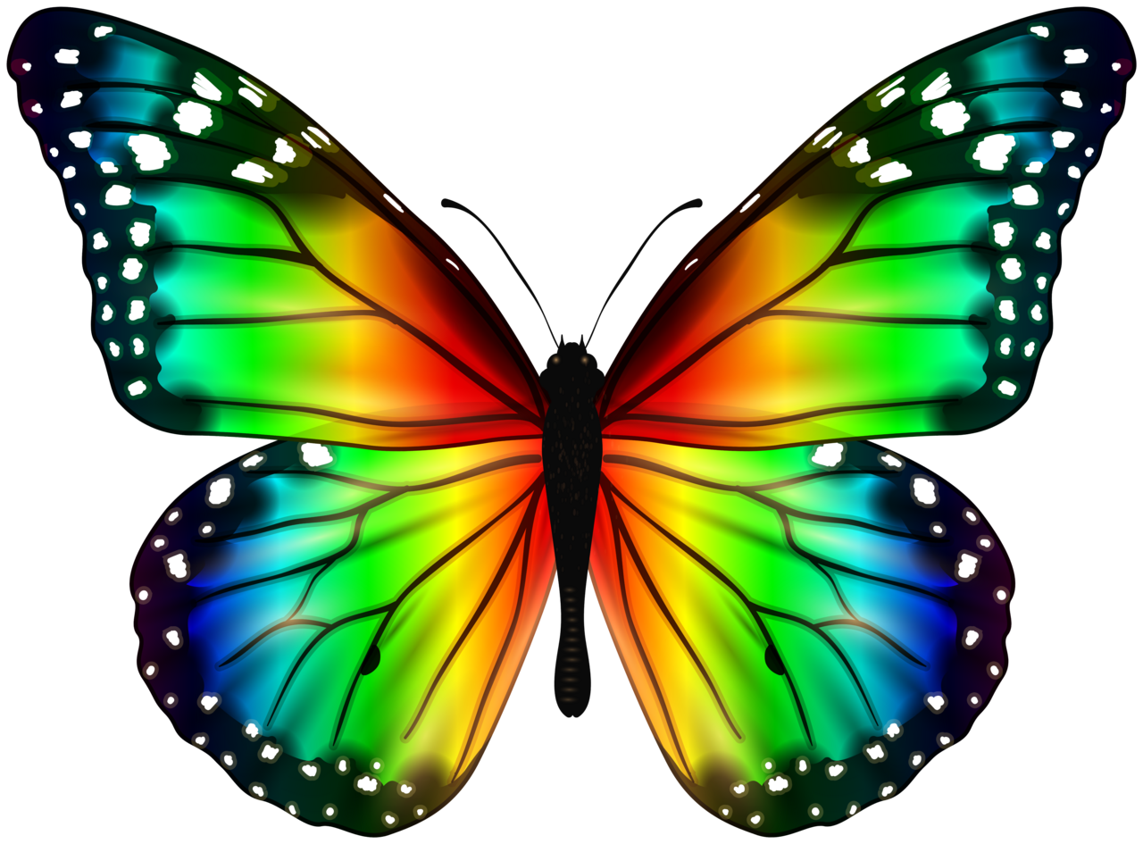 Butterflies colorful butterfly clipart clip art