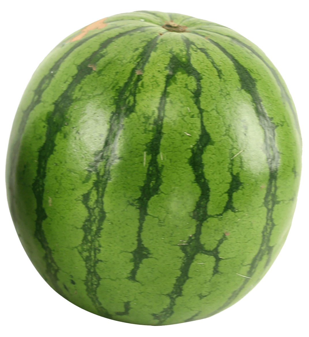 Watermelon clipart picture