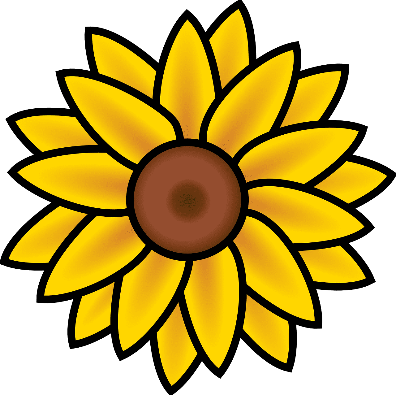 Sunflower summer nature vector graphic draw flower clipart