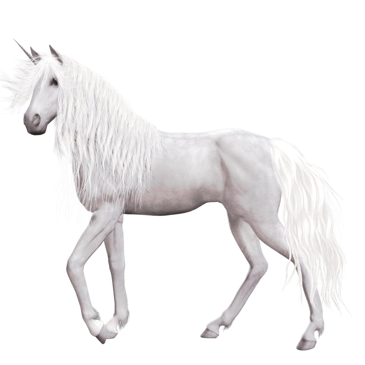 Unicorn clipart picture